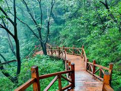-大岭沟猕猴桃谷风景区