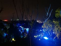 -飞凤山奥体公园