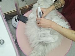 -FAELING PETS美天灵宠物(富力广场店)