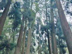 -青城山