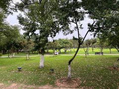 -橘子洲景区