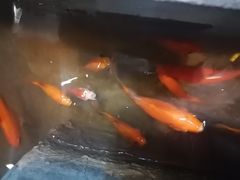 -小隐足道·按摩·主题SPA馆(西红门店)