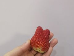 -盒马鲜生(联投广场店)