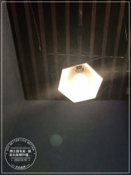 点击看大图 -博士园·女士严重脱发生发中心