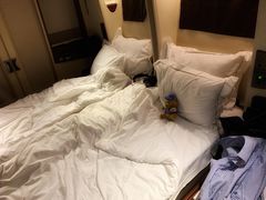 -新加坡航空公司(ION)