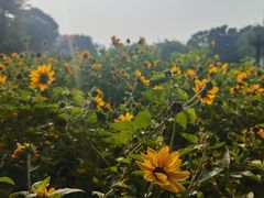 -厦门园林博览苑