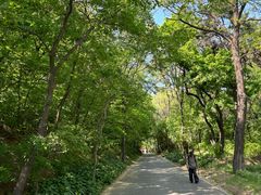 -沈阳市东陵公园