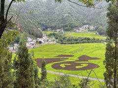 -万峰林风景区