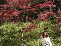 -南山风景名胜区