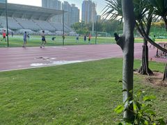 -福田体育公园