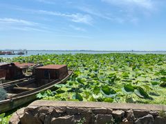 -渔娘蟹庄(阳澄湖莲花岛店)
