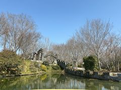-朴园