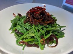 炝油黑皮鸡枞拌麦瓜尖-云腾食府·云南菜