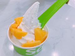 -Salud撒露欧洲冻酸奶(五道口购物中心店)
