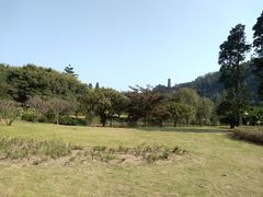 -南沙蒲洲花园
