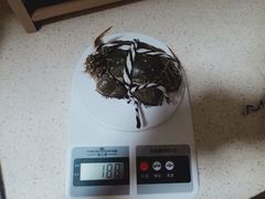-七的湖·晚芳亭·阳澄湖农家菜·大闸蟹(莲花岛店)