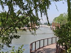 -石家庄市植物园