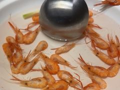 -食悦江南·淮扬菜·烤鸭(亚运村·惠新店)