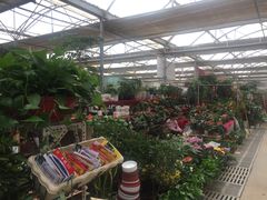 -秦美花卉(天朗·莱茵小城2期店)