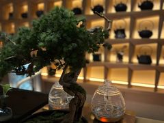 -浅深(北京北四环精品店)