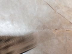-臻味小馆融合菜