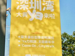 -深圳人才公园
