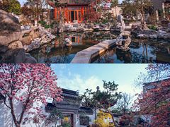 -苏州冶园园林民宿(太湖西山风景区店)