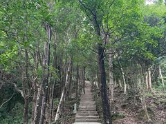 -梧桐山风景名胜区