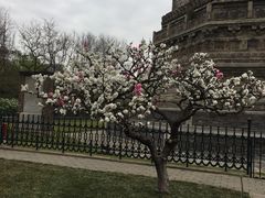 -玲珑塔公园