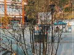 -大金鹰园