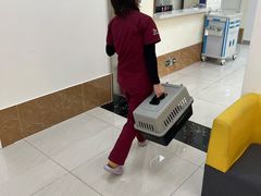-美联众合动物医院·24h京西诊疗中心