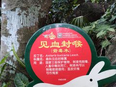 -呀诺达热带雨林