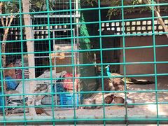 -不觉晓CAMPING(上海迪士尼营地店)