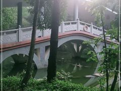 -金山植物公园