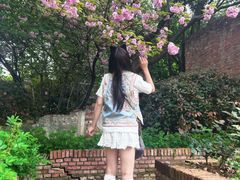 -武汉园博园(武汉自然博物馆)