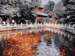 -国家植物园