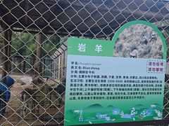 -青藏高原野生动物园
