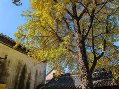 -高淳老街