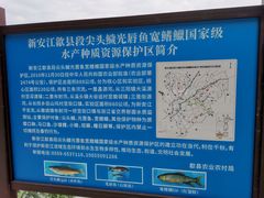 -新安江山水画廊风景区