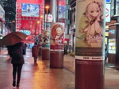 -秋叶原电器街