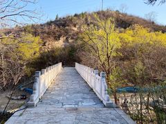 -白水寺森林公园
