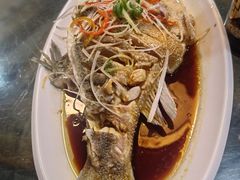-盛德利食府 天津菜(河西店)