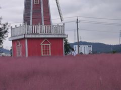 -羊亭河湿地公园