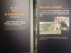 -遵义市博物馆