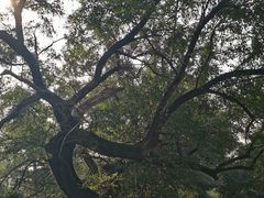 -沈阳市东陵公园