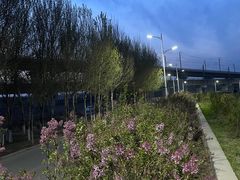 -丁香湖公园