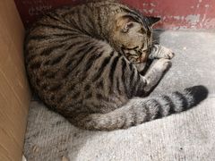 -正阳书局(西四南大街店)