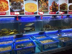 水产区-必点海鲜·鲅鱼水饺(鞍山西道店)
