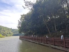 -广州白江湖森林公园