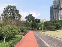 -龙头寺公园